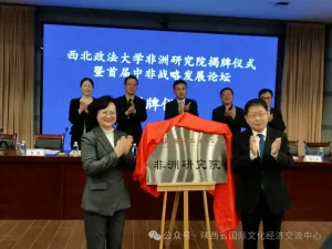 陕西省国际文化经济交流中心受邀出席首届中非战略发展论坛